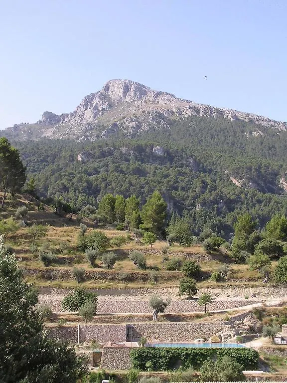 Villa Agroturismo S'Olivar à Estellencs  Séjour à la ferme Estellencs (Mallorca)